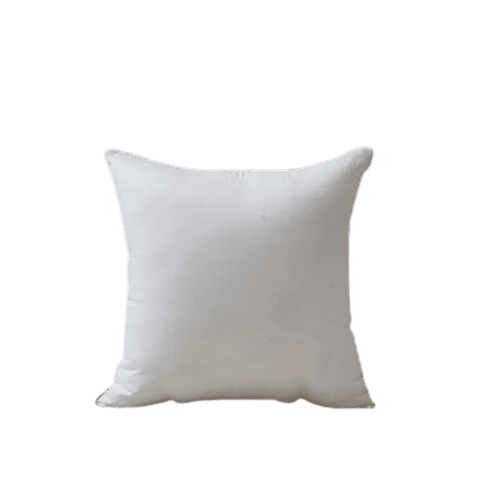 Oreiller Fibre Polyester Uni 55x55cm